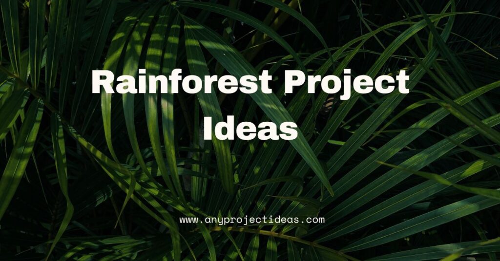 Rainforest Project Ideas