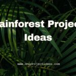 Rainforest Project Ideas