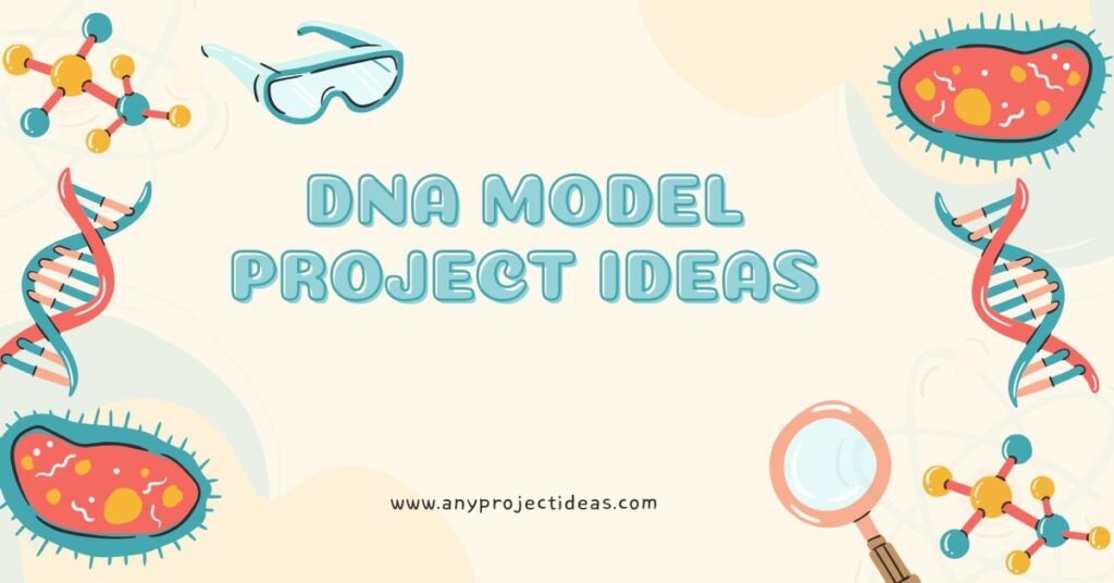 DNA Model Project Ideas
