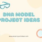 DNA Model Project Ideas